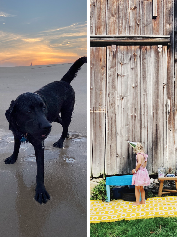 Snapshots from this week at the beach and playing in the barn.