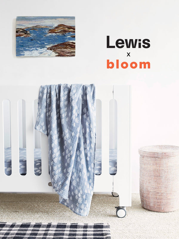 Lewis x Bloom