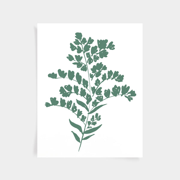 Goldenrod Print - Spruce