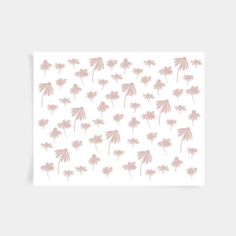 Echinacea Print - Blush