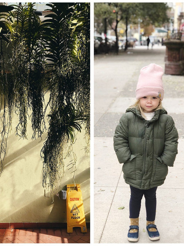 You Might Also Like: Sock obsessed + holiday breakfast