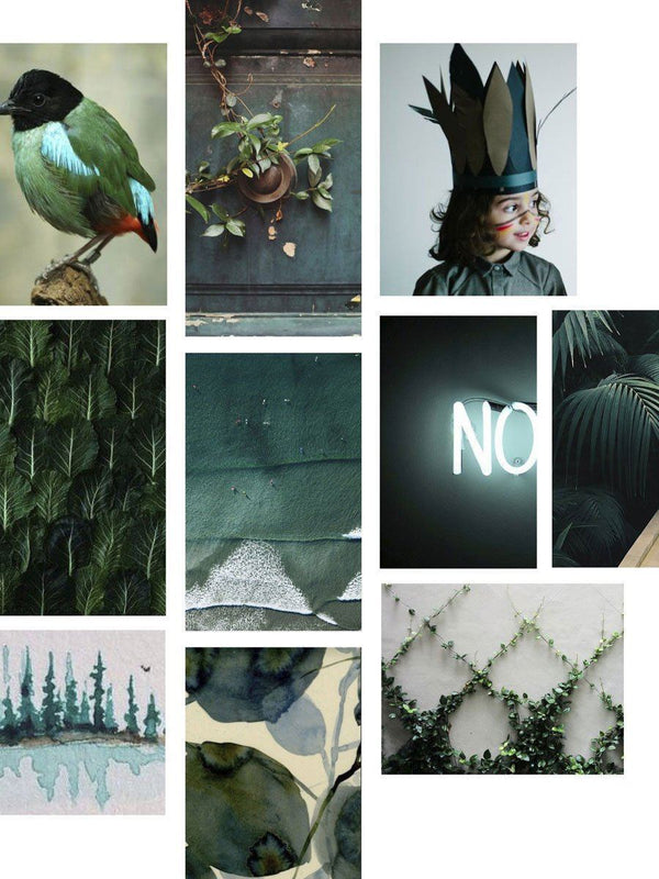 Spruce
