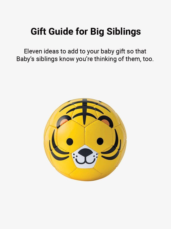 Gift Guide for Siblings