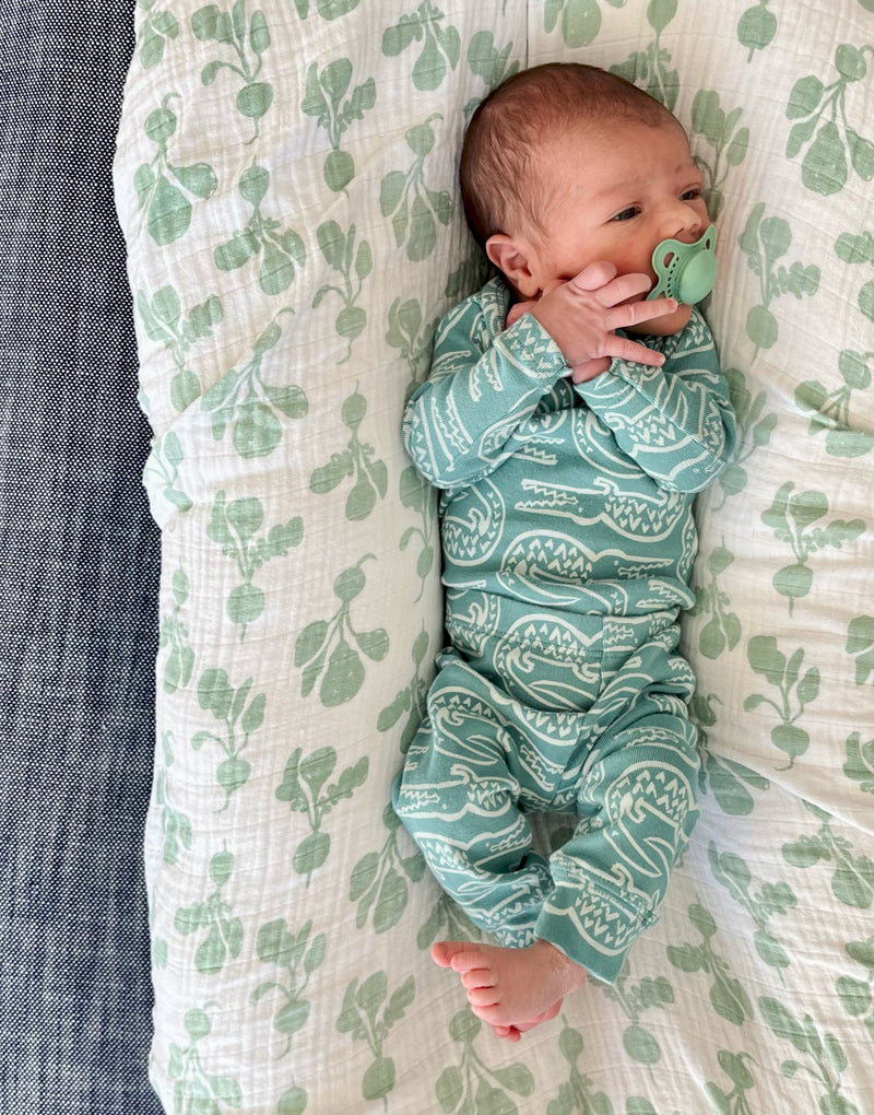 Onesie + Pant Set - Alligator | Spruce