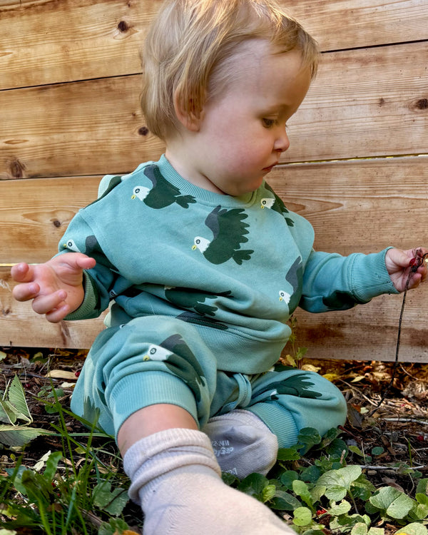 Baby Sweatshirt - Eagle | Forest