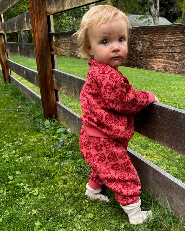 Baby Sweatpants - Tiger | Spice