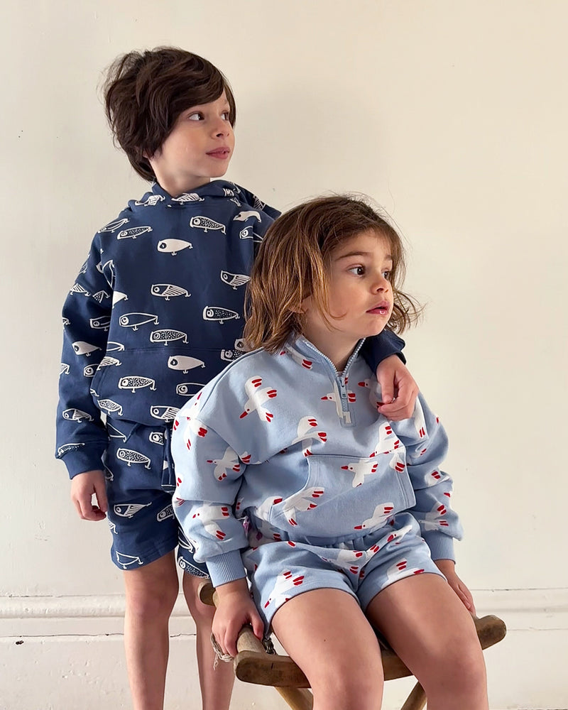 Quarter Zip - Bird | Sky