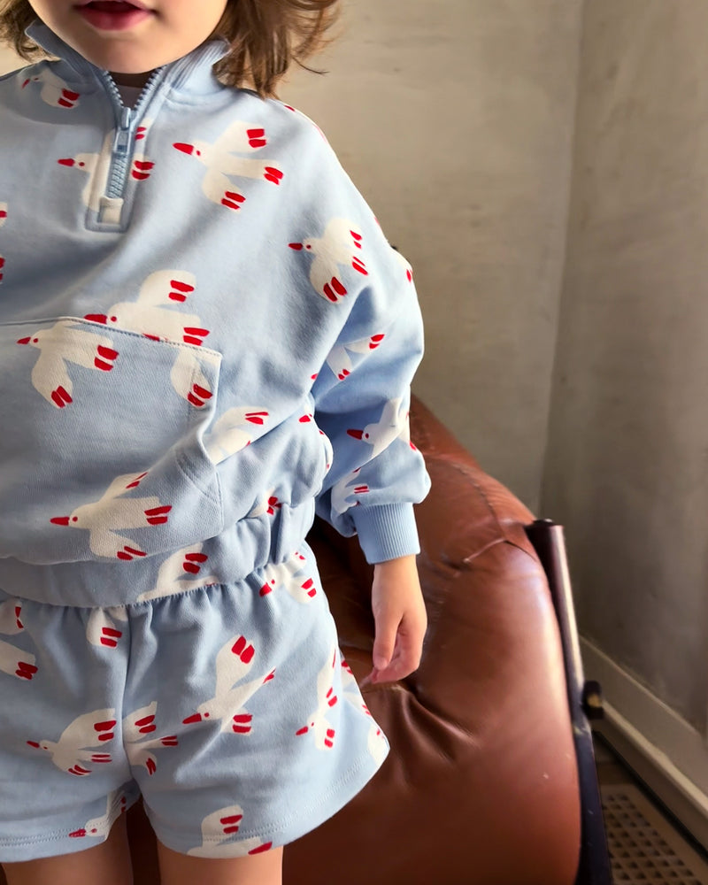 Quarter Zip - Bird | Sky