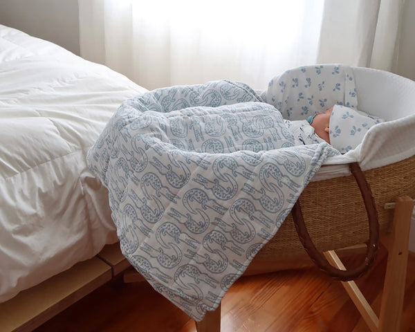 Baby Bundle - Alligator | Bay Blue