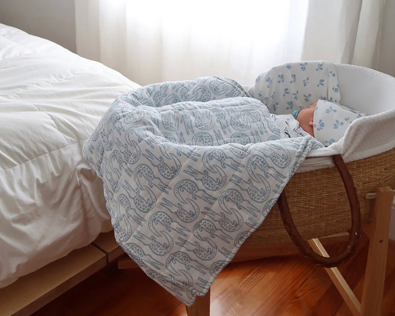 Baby Bundle - Alligator | Bay Blue