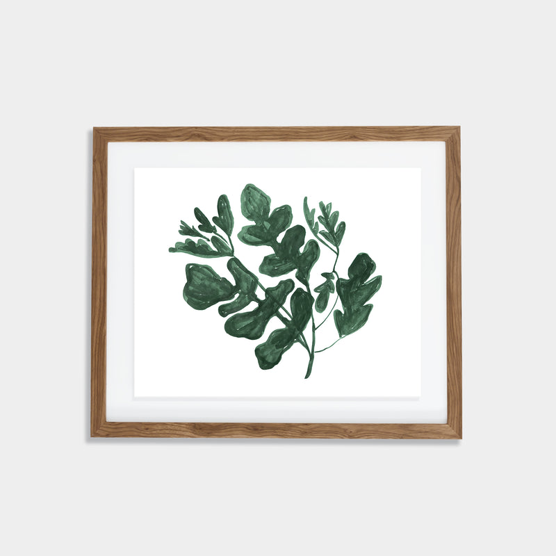 Arugula Print - Spruce