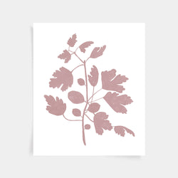 Fig Print - Mauve