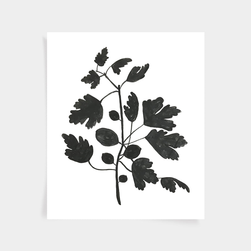 Fig Print - Black