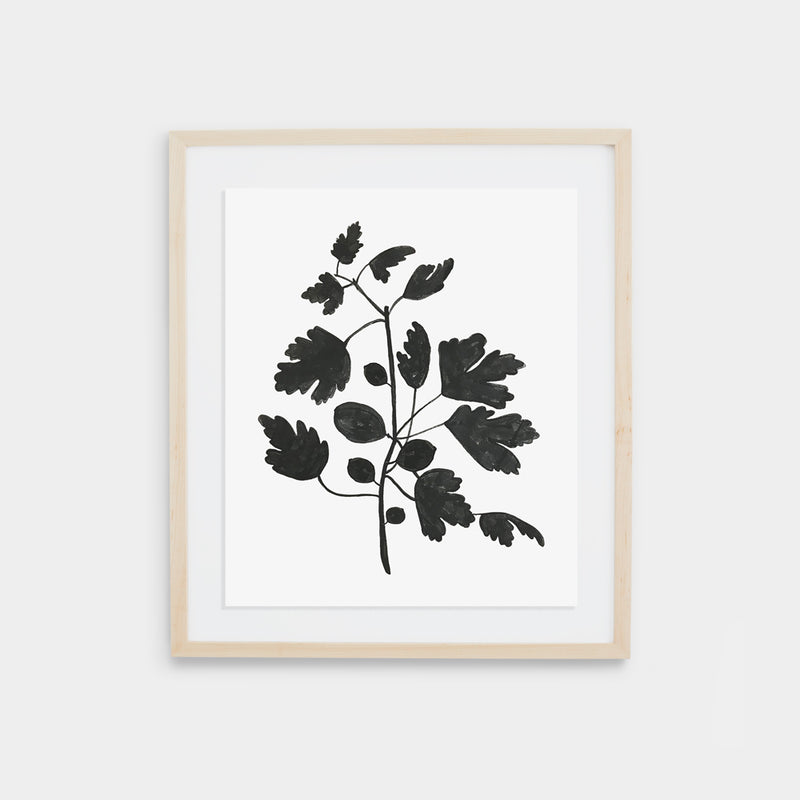 Fig Print - Black