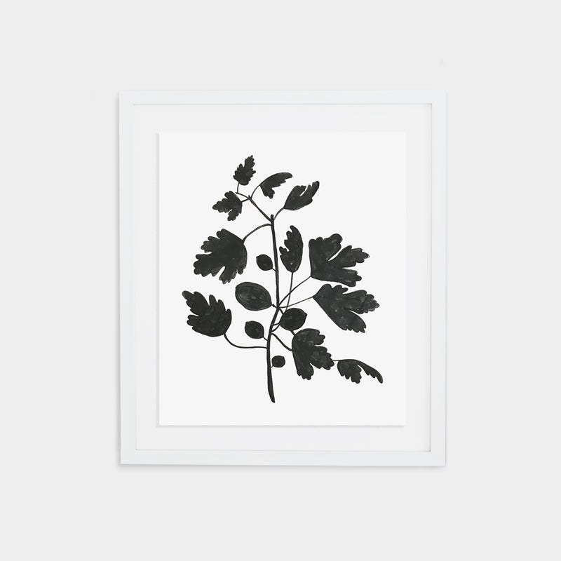 Fig Print - Black