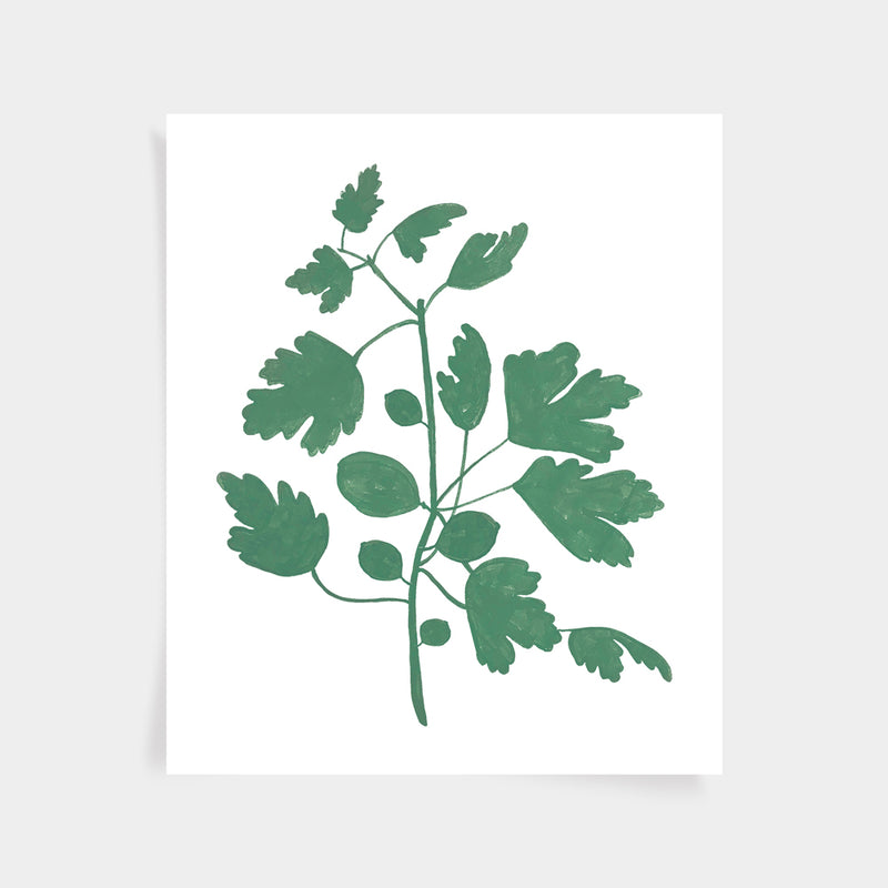 Fig Print - Spruce