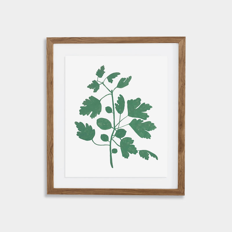 Fig Print - Spruce