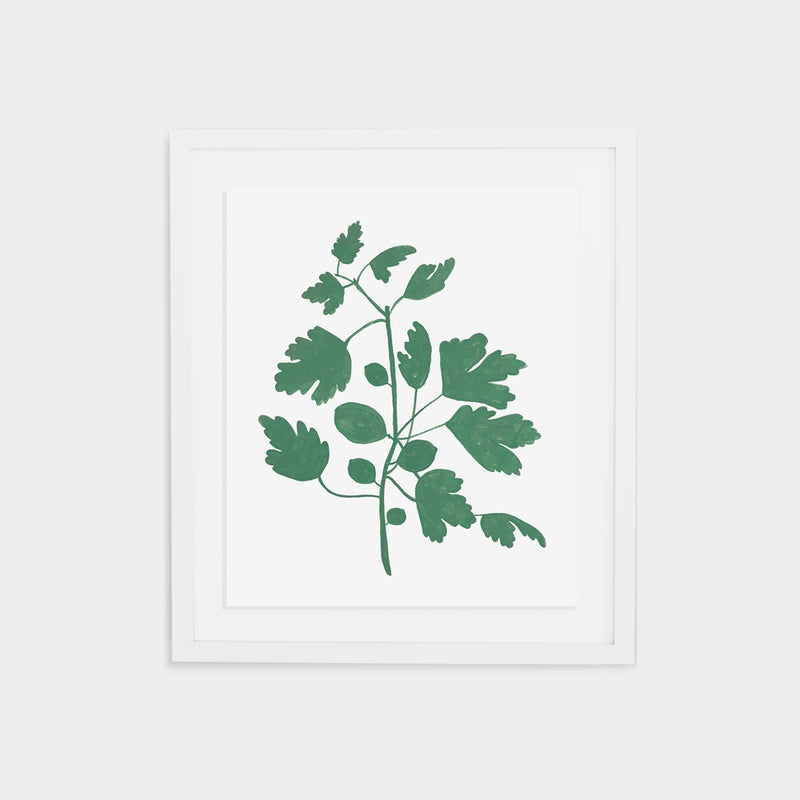 Fig Print - Spruce