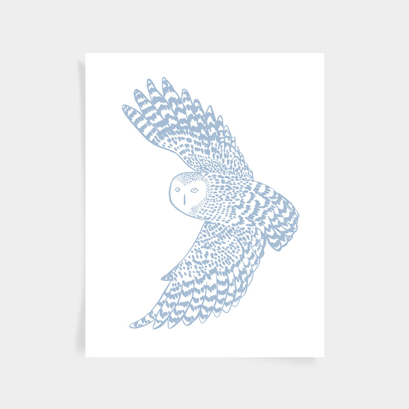 Owl Print - Bay Blue