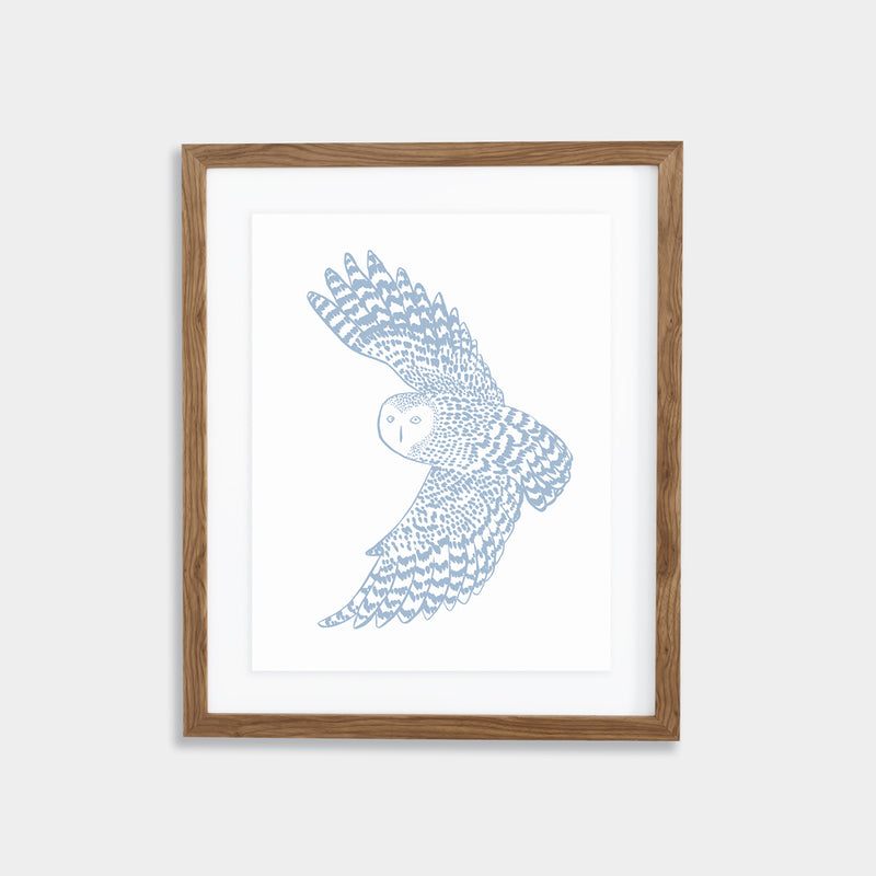 Owl Print - Bay Blue