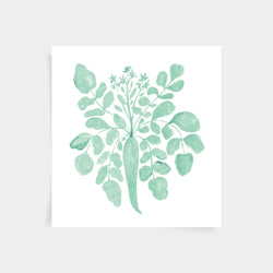 Parsnip Print - Agave