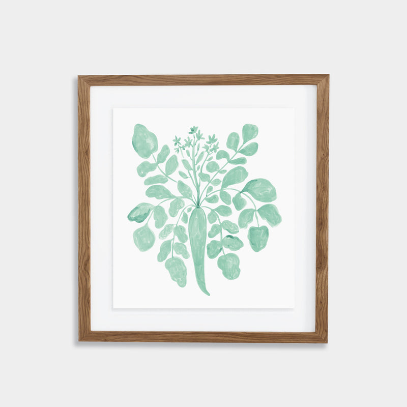 Parsnip Print - Agave