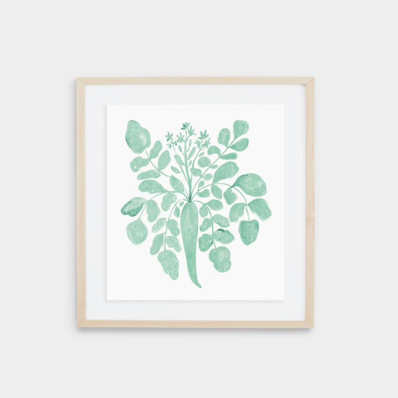 Parsnip Print - Agave