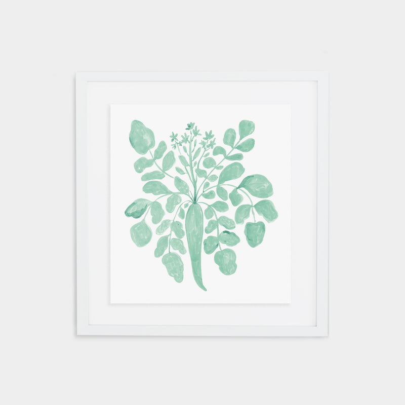 Parsnip Print - Agave