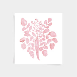 Parsnip Print - Blush