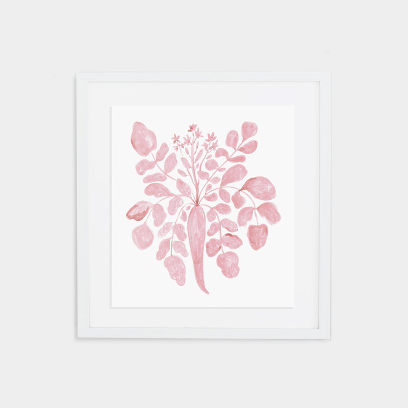 Parsnip Print - Blush