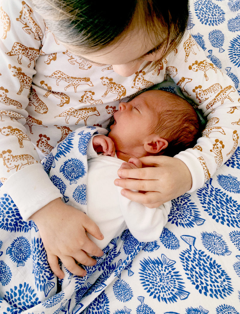 Swaddle - Blowfish | Marine