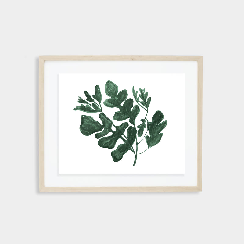 Arugula Print - Spruce