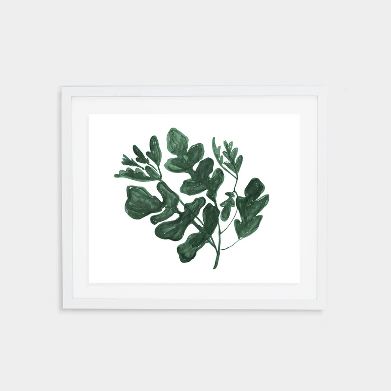 Arugula Print - Spruce