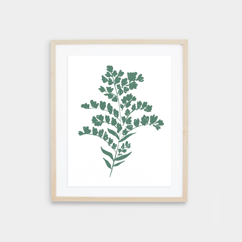 Goldenrod Print - Spruce