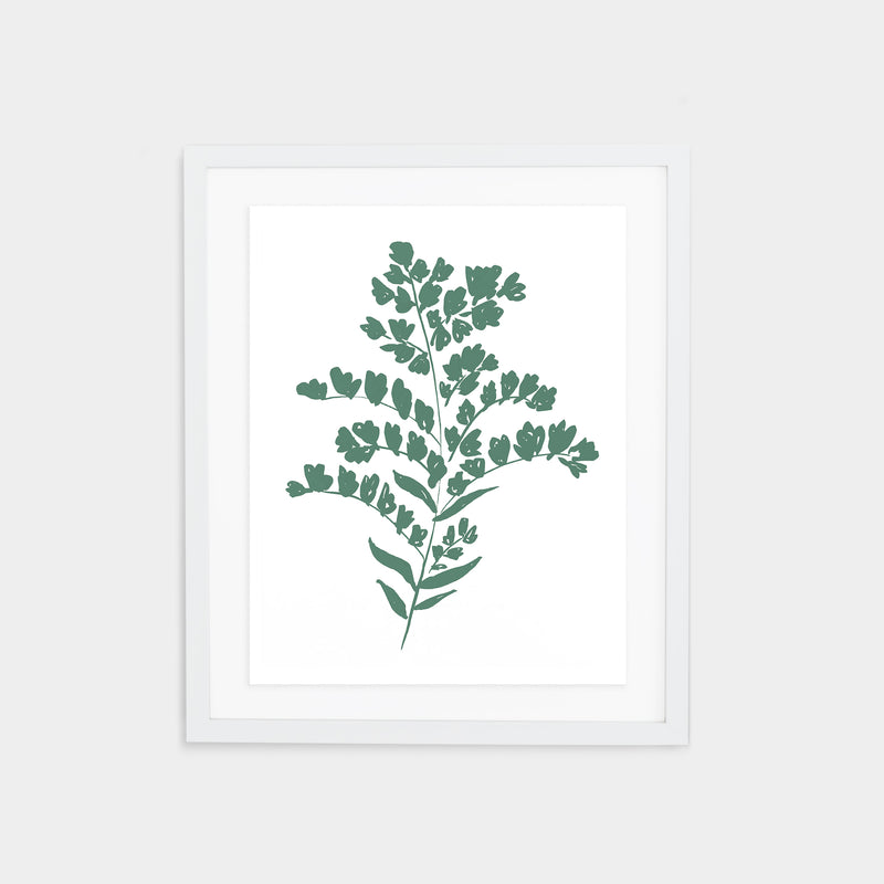 Goldenrod Print - Spruce