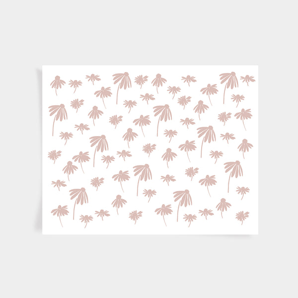 Echinacea Print - Blush